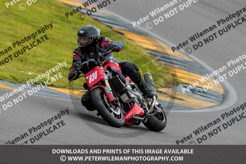 PJ Motorsport 2019;anglesey no limits trackday;anglesey photographs;anglesey trackday photographs;enduro digital images;event digital images;eventdigitalimages;no limits trackdays;peter wileman photography;racing digital images;trac mon;trackday digital images;trackday photos;ty croes